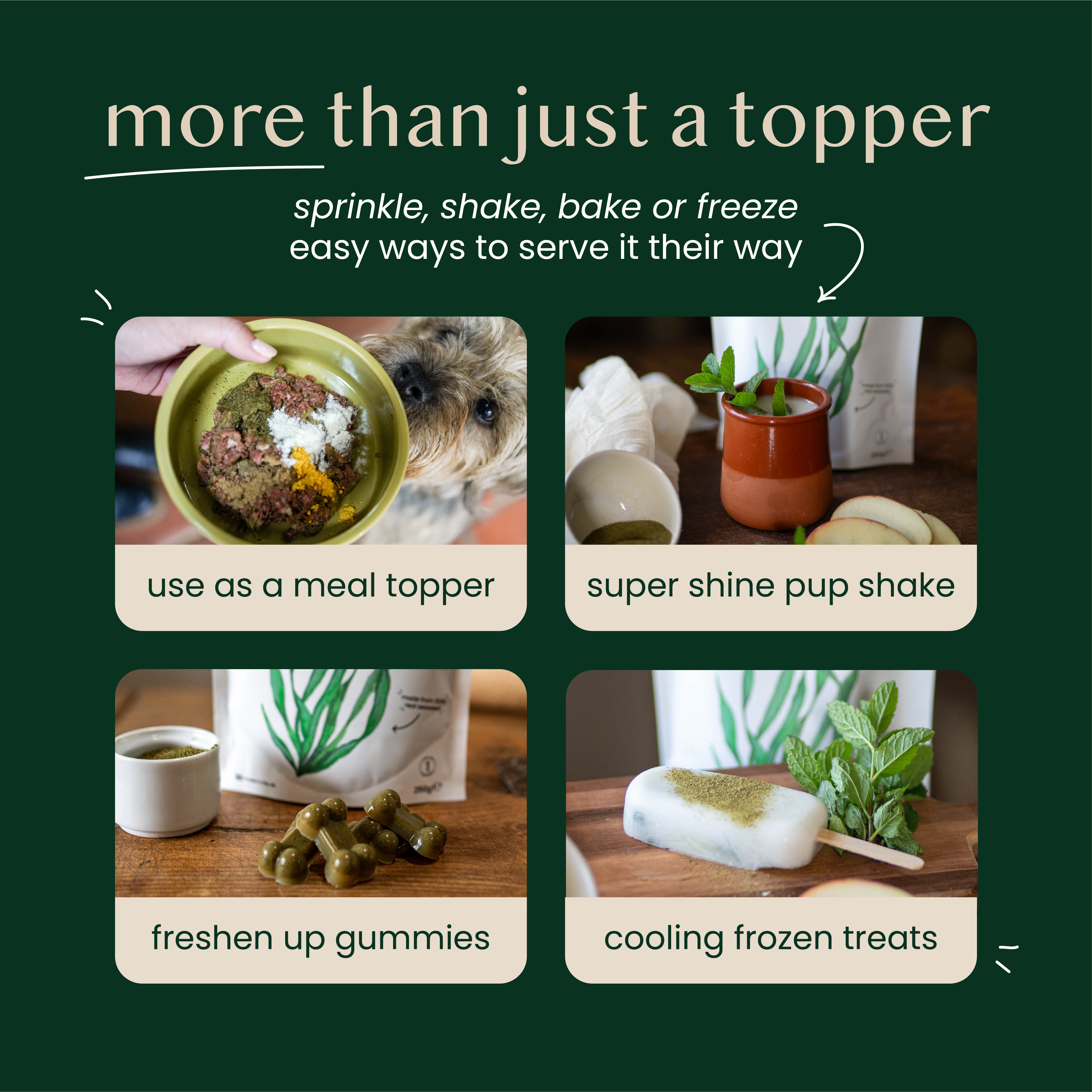 natural kelp seaweed powder for dogs & cats - Fettle