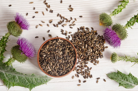 Milk Thistle Seed Powder: Nature’s Ultimate Liver Support for Dogs, Cats & Horses - Fettle