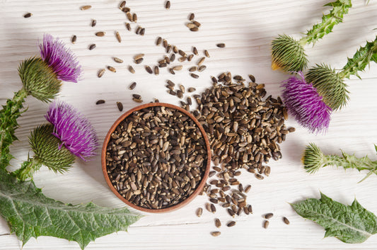 Milk Thistle Seed Powder: Nature’s Ultimate Liver Support for Dogs, Cats & Horses - Fettle