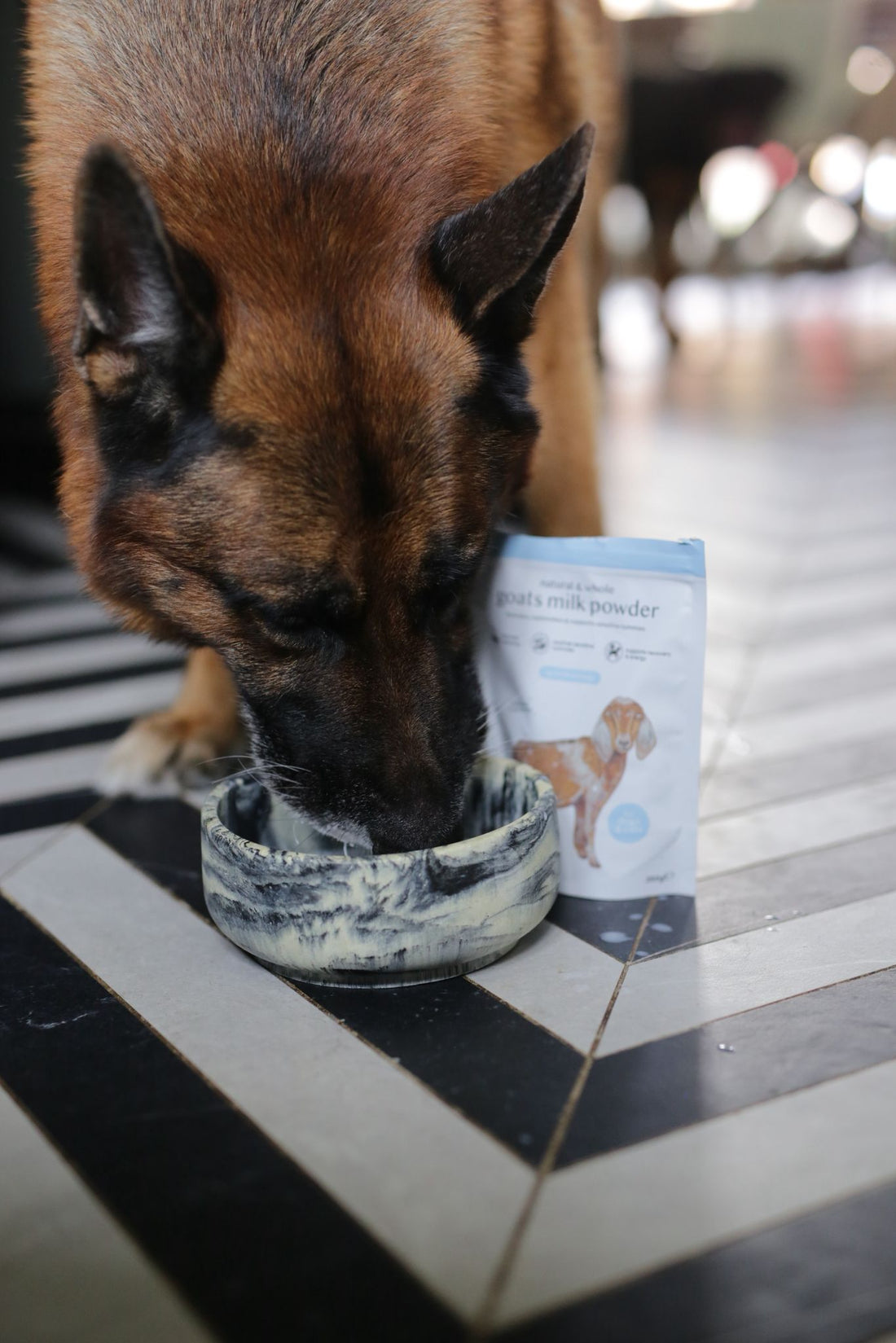 Why Some Dogs Don't Drink Enough (And How To Encourage Them To) (By Lisa Hannaby-Aird)