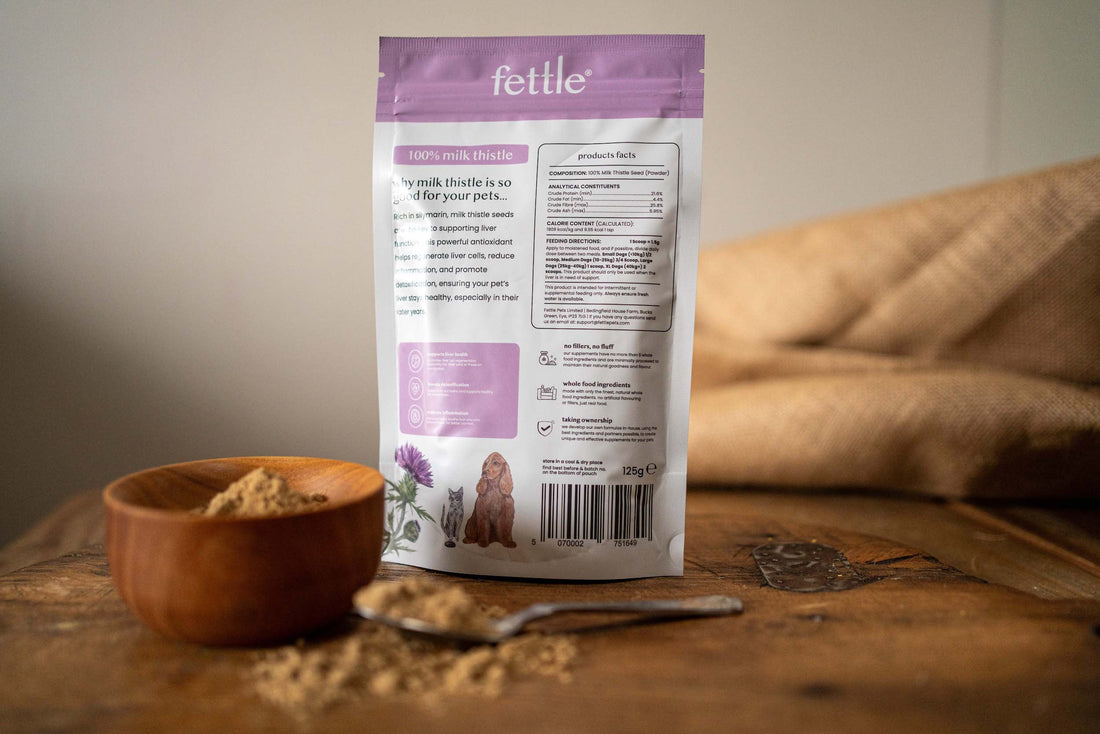 The Truth About Dog Supplement Labels: What You’re Not Being Told - Fettle