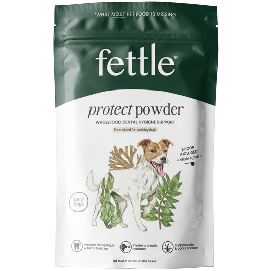 Protect Powder