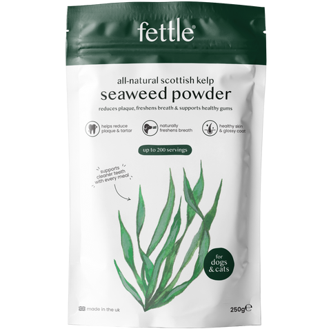 Kelp Seaweed Powder - For dental health