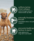 natural kelp seaweed powder for dogs & cats - Fettle