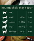 natural kelp seaweed powder for dogs & cats - Fettle