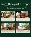 natural kelp seaweed powder for dogs & cats - Fettle