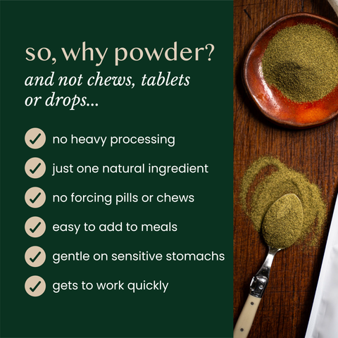 natural kelp seaweed powder for dogs & cats - Fettle