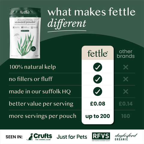 natural kelp seaweed powder for dogs & cats - Fettle