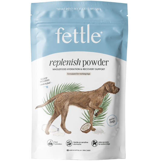 Replenish Powder - hydration for dogs