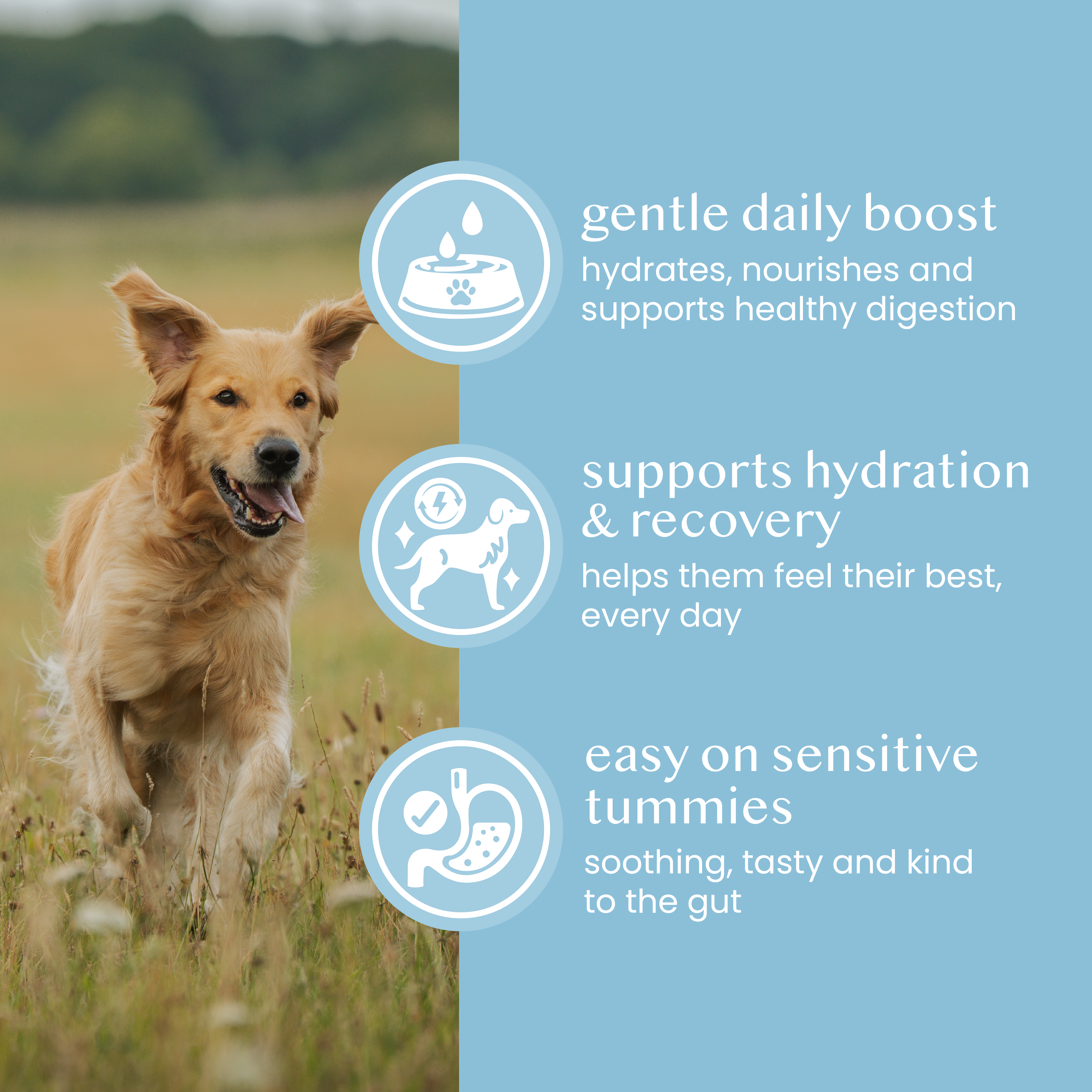 Gundog Bundle - Fettle