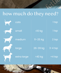 Gundog Bundle - Fettle