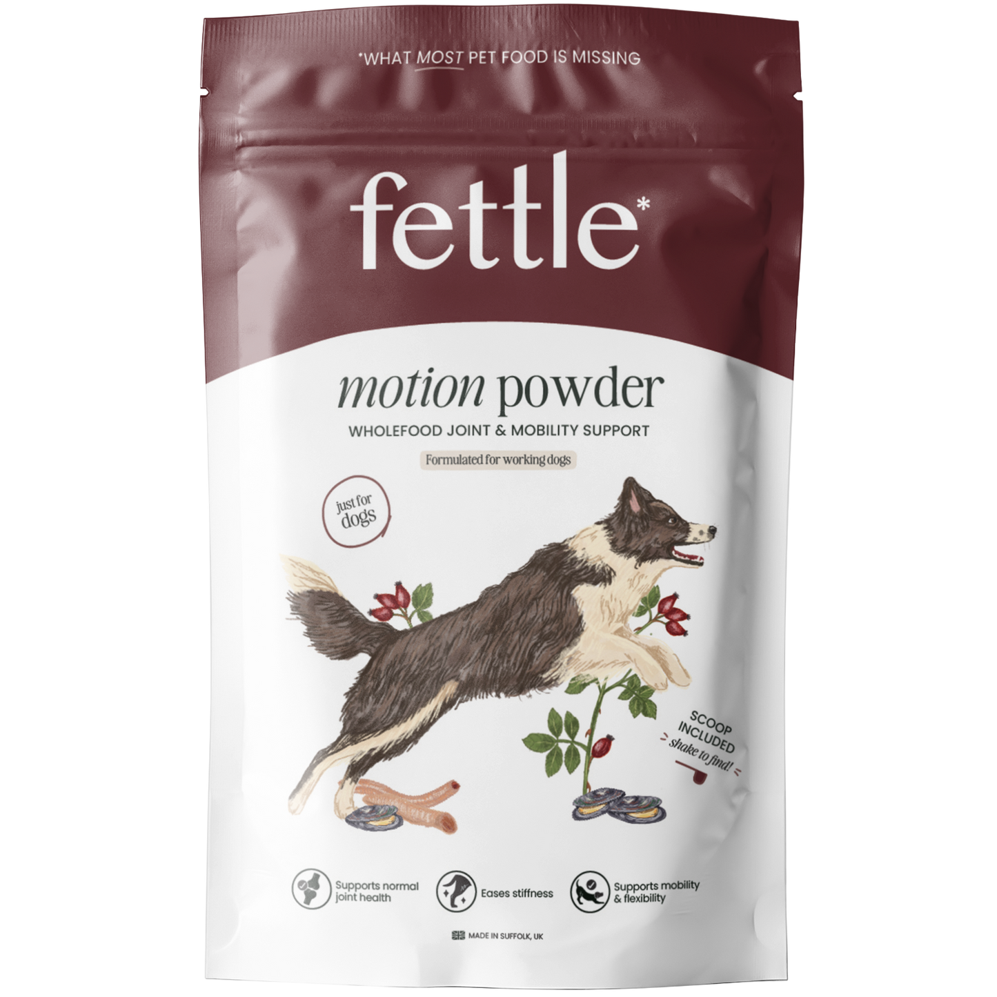 Motion Powder