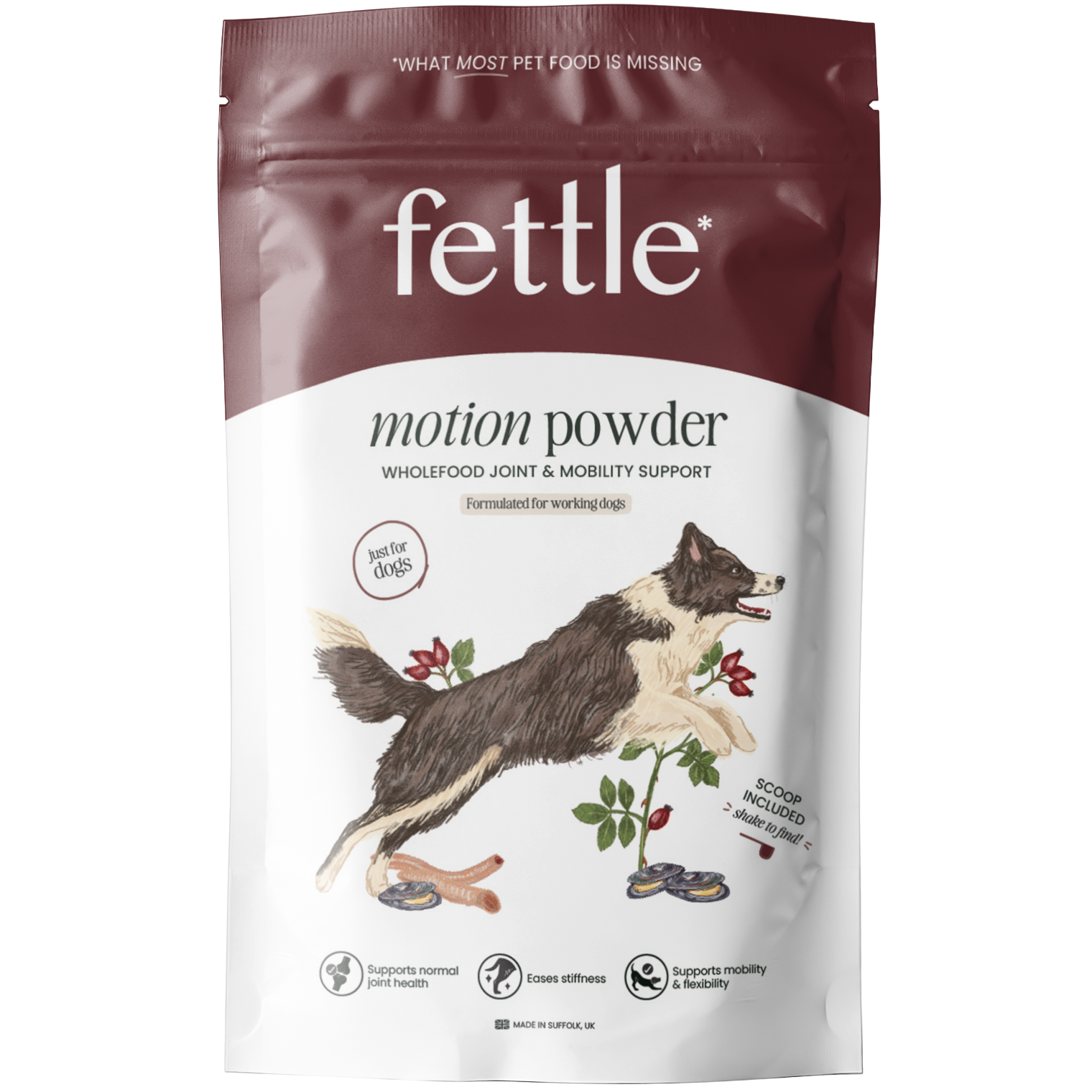 Motion Powder
