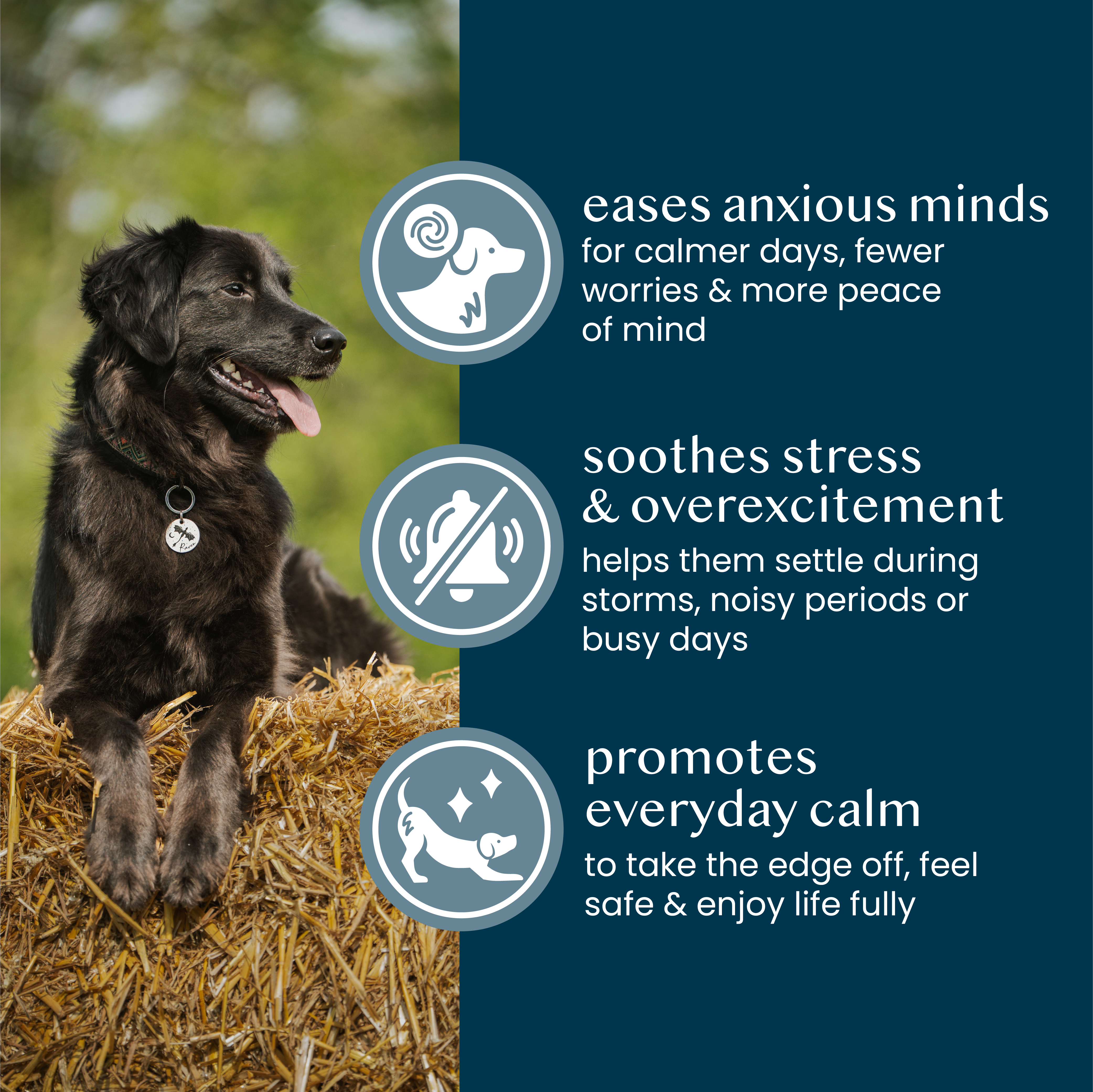 pure & gentle calming support powder-offer - Fettle