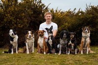 Dan (CanineApex)