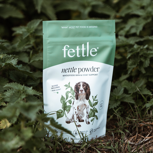 Nettle Powder - Allergy support for dogs