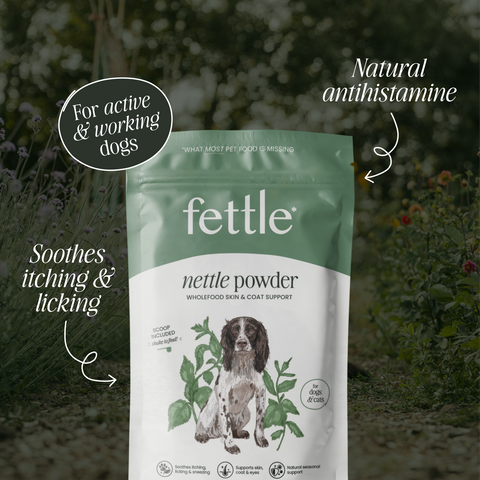Nettle Powder - Allergy support for dogs by Fettle, image 2 of 6