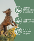 Nettle Powder - Allergy support for dogs by Fettle, image 3 of 6