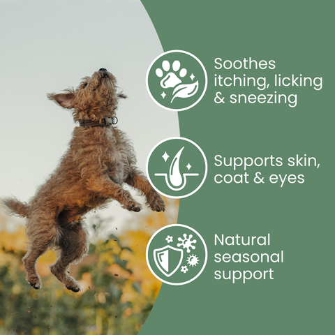 Nettle Powder - Allergy support for dogs by Fettle, image 3 of 6