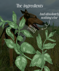 Nettle Powder - Allergy support for dogs by Fettle, image 4 of 6