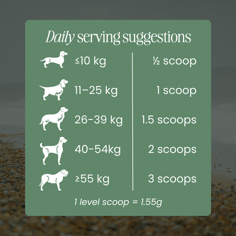 Nettle Powder - Allergy support for dogs by Fettle, image 5 of 6