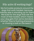 Nettle Powder - Allergy support for dogs by Fettle, image 6 of 6