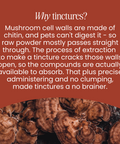 Reishi Mushroom Tincture by Fettle, image 4 of 6