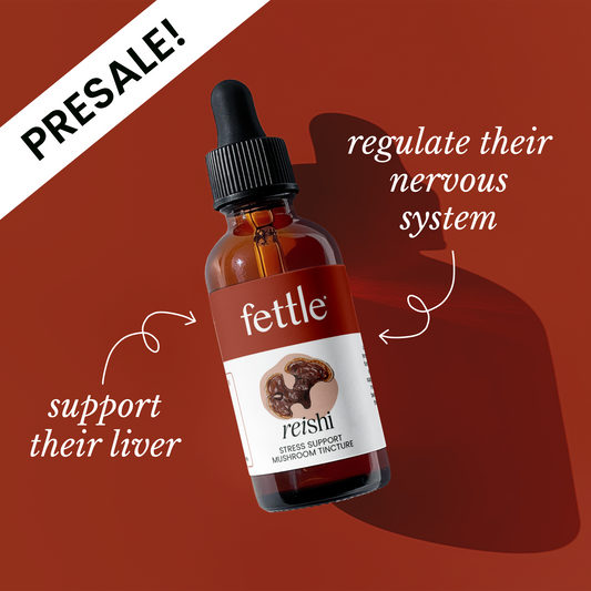 Reishi Mushroom Tincture