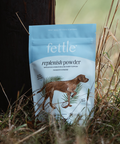 Replenish Powder - Hydration for dogs by Fettle