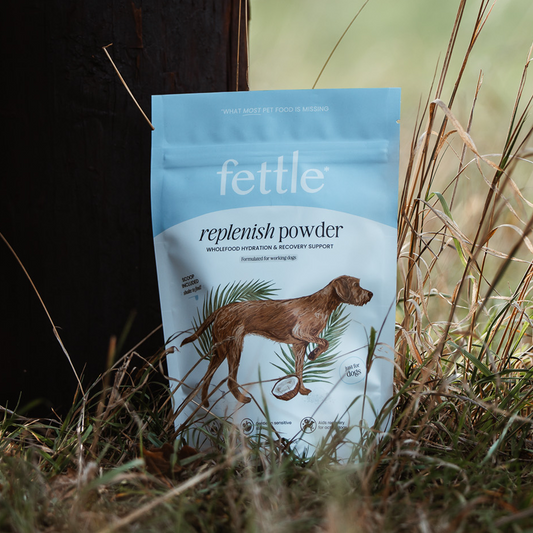 Replenish Powder - Hydration for dogs