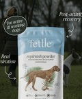 Replenish Powder - Hydration for dogs by Fettle, image 2 of 6