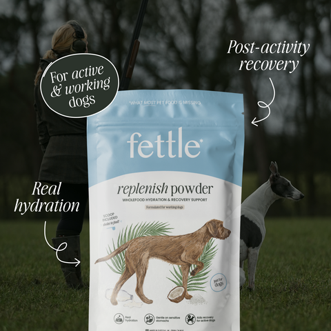 Replenish Powder - Hydration for dogs by Fettle, image 2 of 6