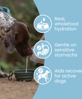 Replenish Powder - Hydration for dogs by Fettle, image 3 of 6