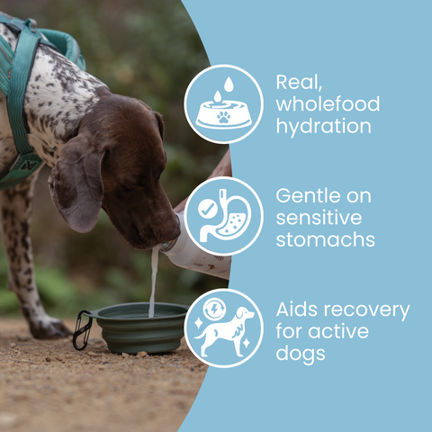 Replenish Powder - Hydration for dogs by Fettle, image 3 of 6