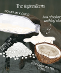 Replenish Powder - Hydration for dogs by Fettle, image 4 of 6