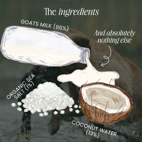 Replenish Powder - Hydration for dogs by Fettle, image 4 of 6