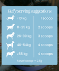 Replenish Powder - Hydration for dogs by Fettle, image 5 of 6