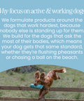 Replenish Powder - Hydration for dogs by Fettle, image 6 of 6