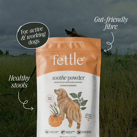 Soothe Powder - Digestion support by Fettle, image 2 of 6