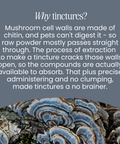 Turkey Tail Mushroom Tincture by Fettle, image 4 of 6