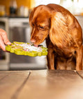 whole goats milk powder for dogs & cats