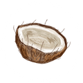 Coconut water (13%)