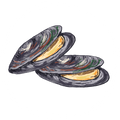 Green-Lipped Mussel (50%)