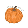 Pumpkin Pulp (81%)